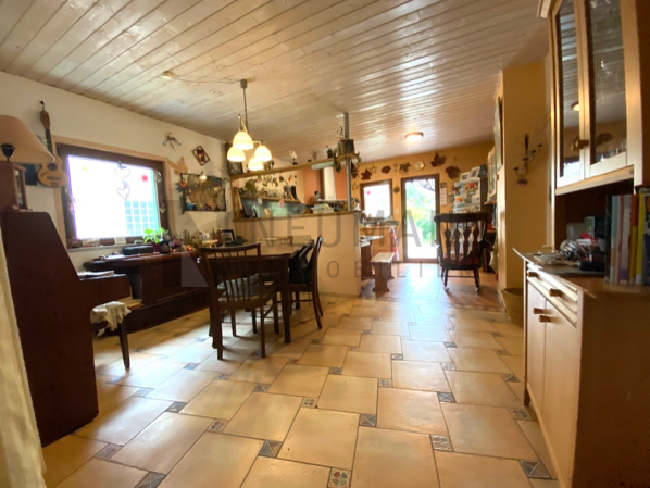 Mehrfamilienhaus mit Gewerbeeinheit (teilvermietet) und großem Garten