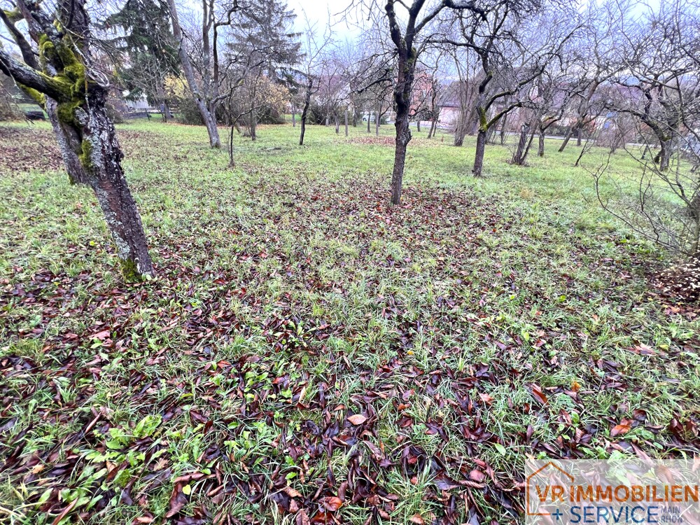 Attraktive Baugrundstücke in bester Wohnlage von 97631 Bad Königshofen! (2)