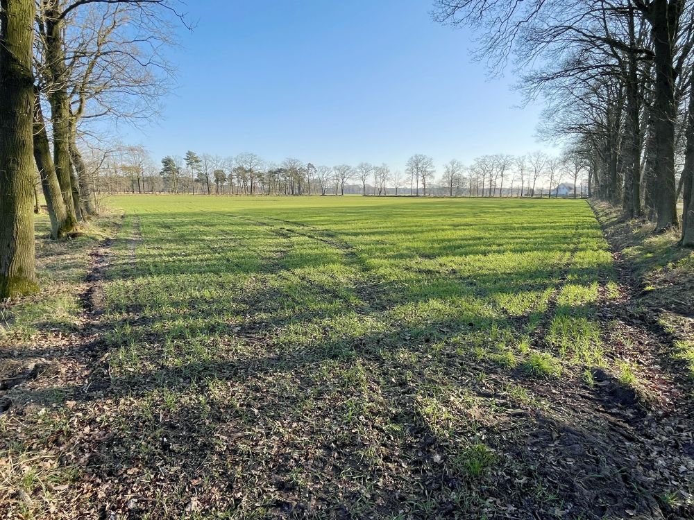 Vielseitige Landwirtschaftsfläche mit 5,29 ha in Brochterbeck! (2)