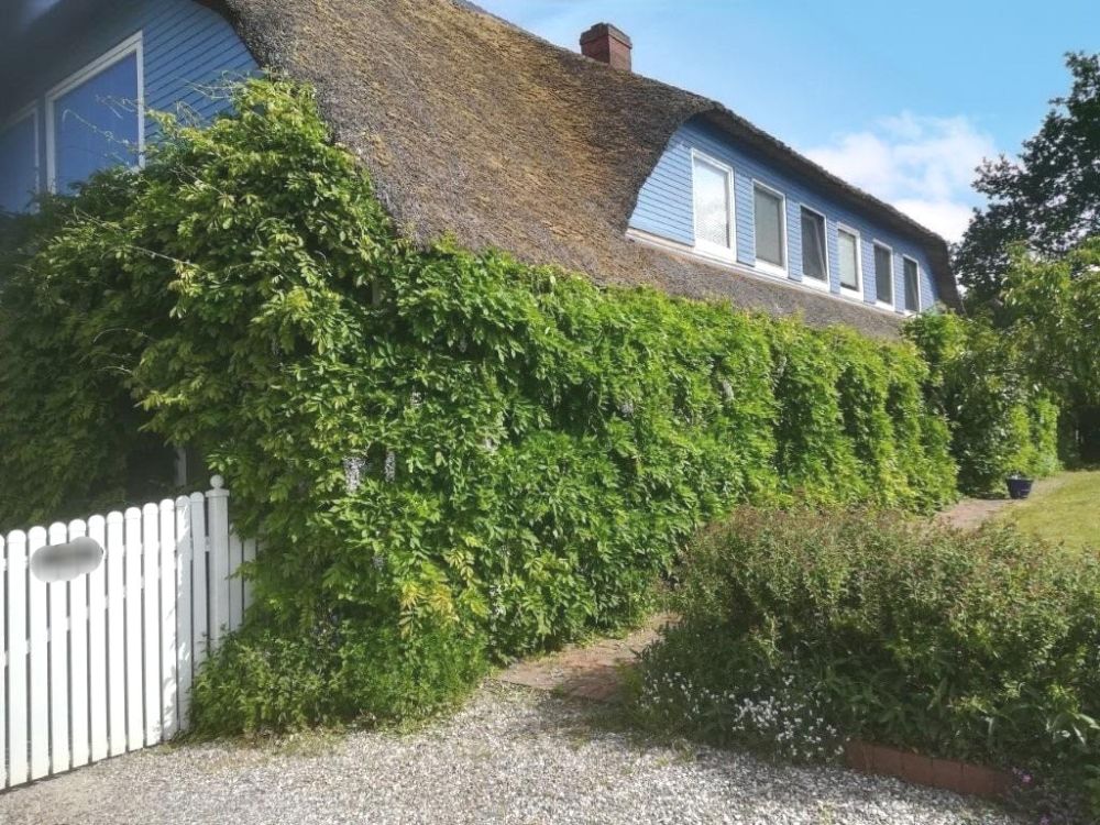 Zauberhaftes, naturnahes Wohnen und / oder Arbeiten unter Reet an der Ostsee