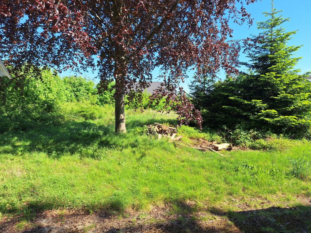 Einfamilienhaus mit zusätzlichem Baugrundstück im schönen Lobacker.