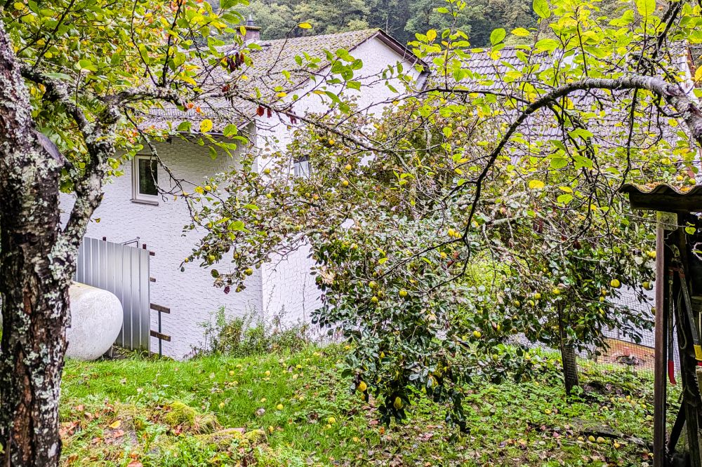 Die Natur vor der Haustür - Grundstück mit tollem Blick ins Grüne!