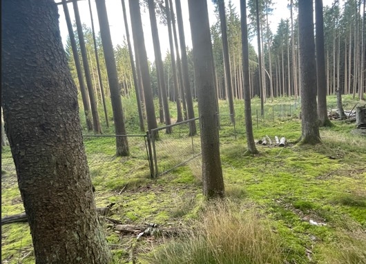 Waldgrundstück bei Vohenstrauß zu verkaufen!