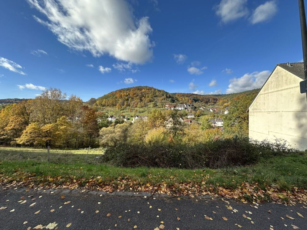 Seltene Gelegenheit: Großes Baugrundstück am Naturschutzgebiet in Heimbuchenthal