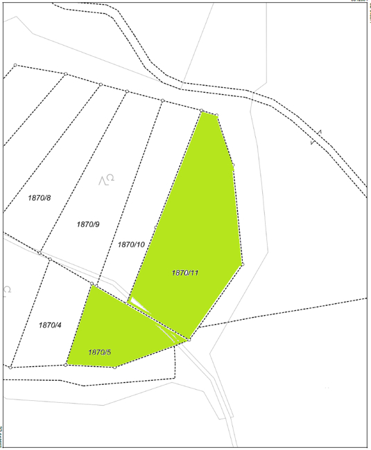 kleine Waldfläche im Naturschutzgebiet