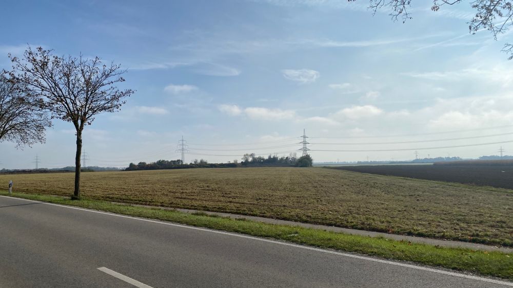 Grünland bei Eching (Freising)