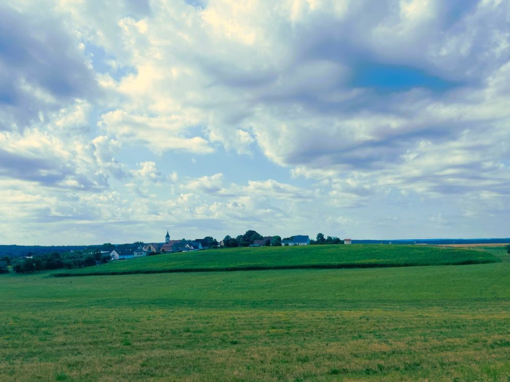 Seltene Gelegenheit - Landwirtschaftliche Fläche in Neunkirchen bei Leutershausen!