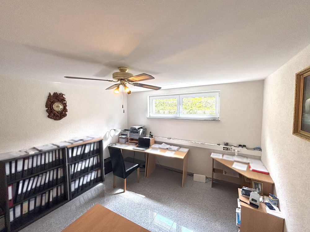 Freistehendes Einfamilienhaus mit repräsentativem Entree + Bürofläche (20)