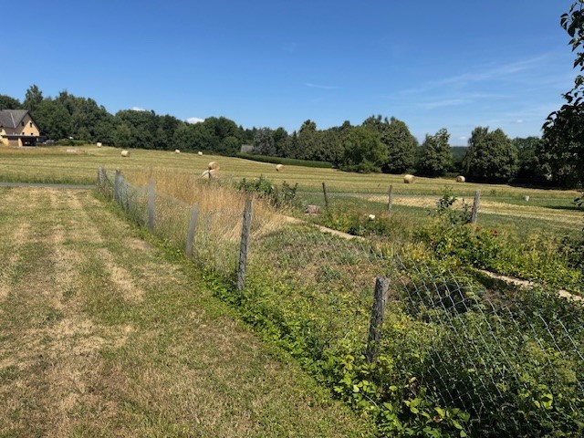 Haus - Werkstattnebengebäude - großes Grundstück