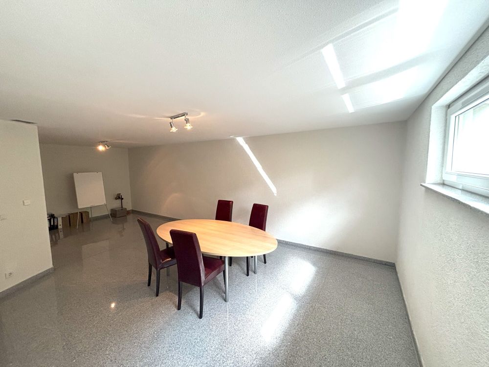 Freistehendes Einfamilienhaus mit repräsentativem Entree + Bürofläche (22)