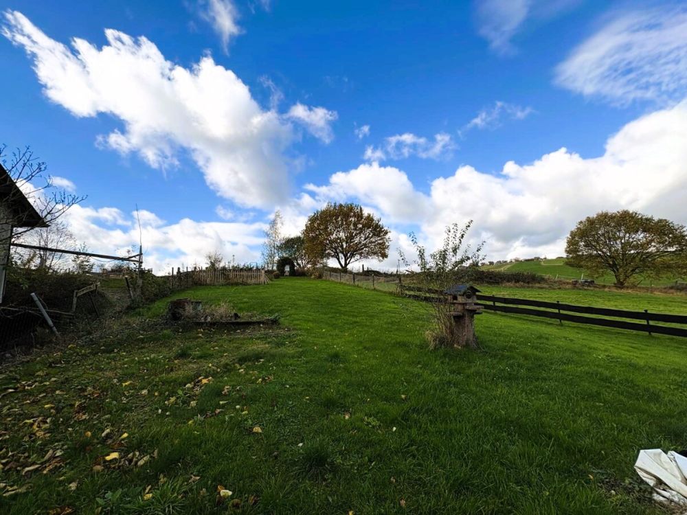 Weitläufiges Grundstück