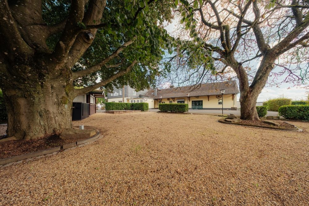 Ansicht vom Biergarten