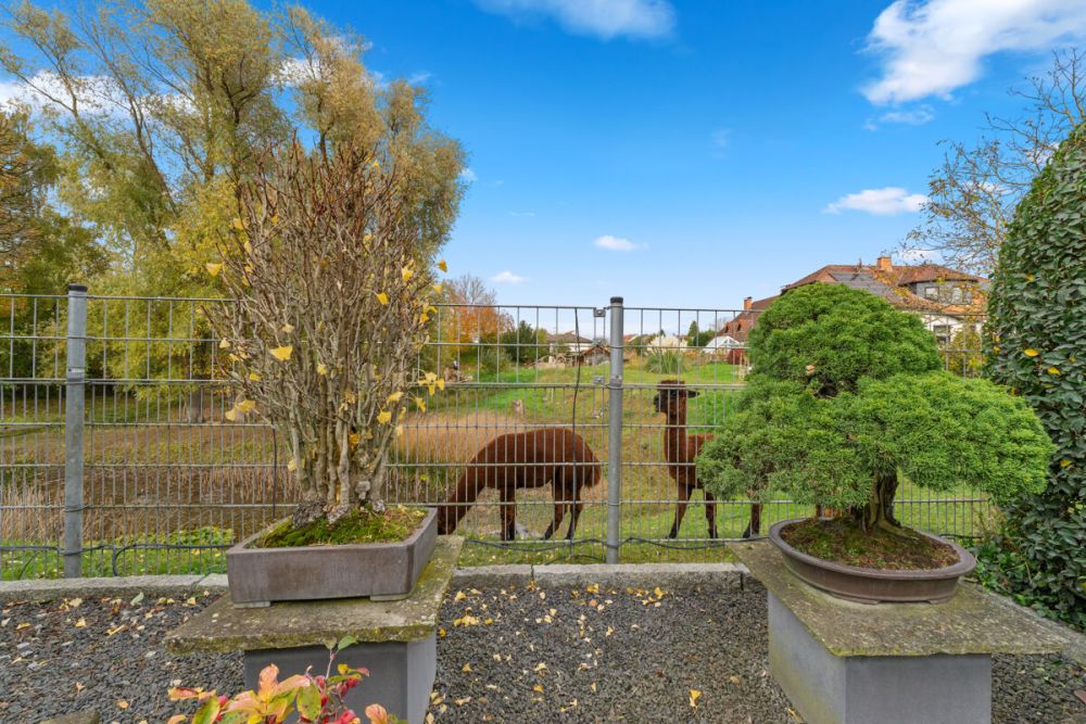 Einzigartiges Mehrgenerationenhaus inklusive traumhaftem Wellnessbereich auf weitläufigem Grundstück