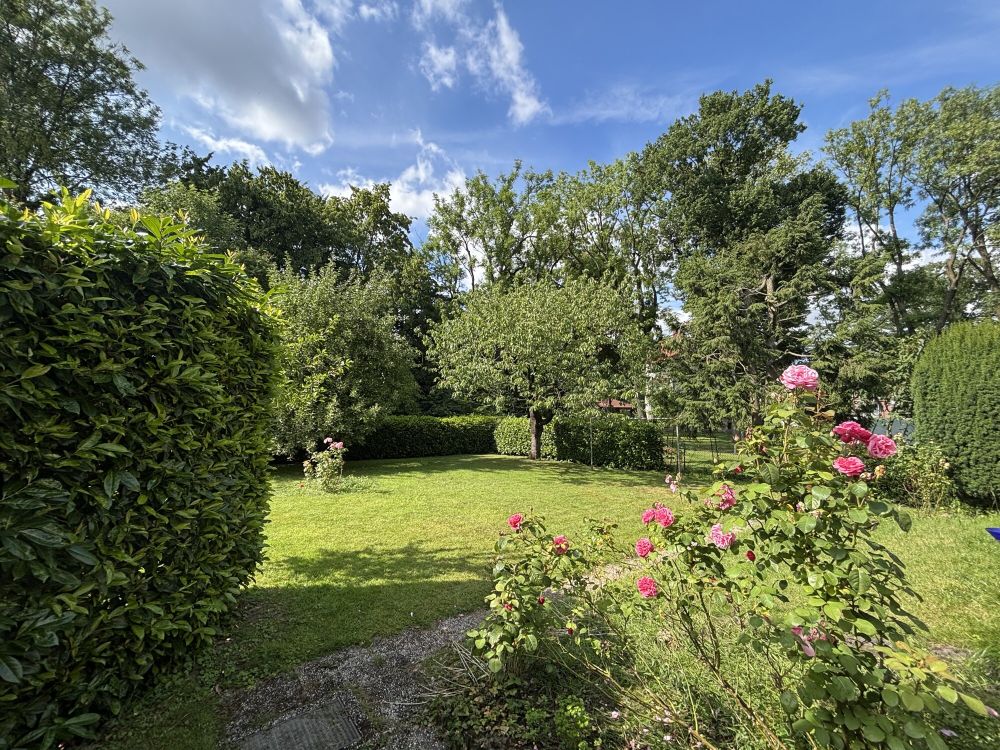 Renovierungsbedürftiges 3-Parteienhaus mit viel Potenzial und schönem Garten in Steinfurt-Borghorst (26)