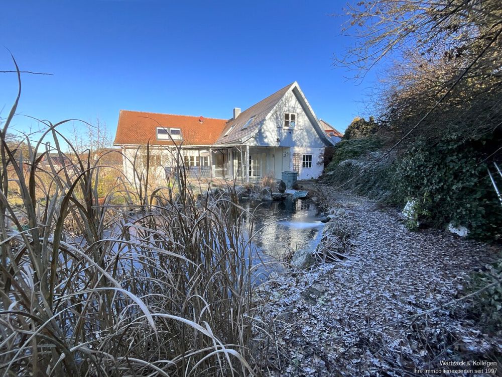 winterliche Teichidylle