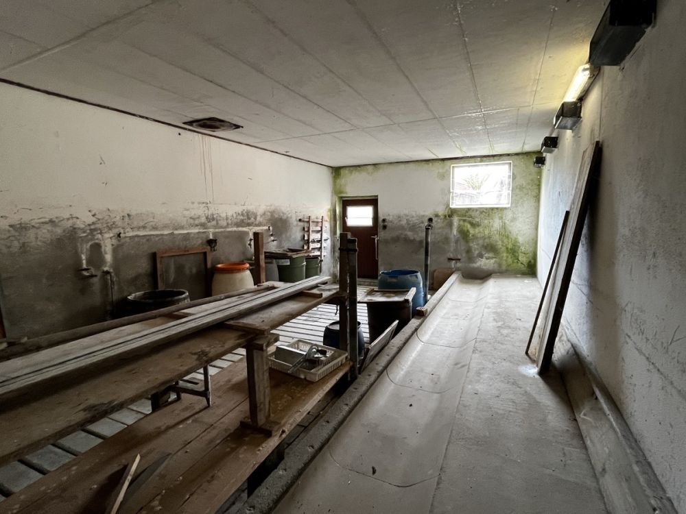 Großzügiges Wohnen in ländlichem Umfeld mit genügend Platz für die ganze Familie und deren Hobbys!