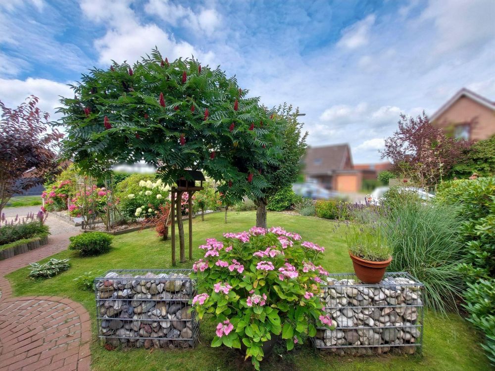 Familienfreundliche Doppelhaushälfte mit zusätzlichem Mieteinnahme-Potenzial