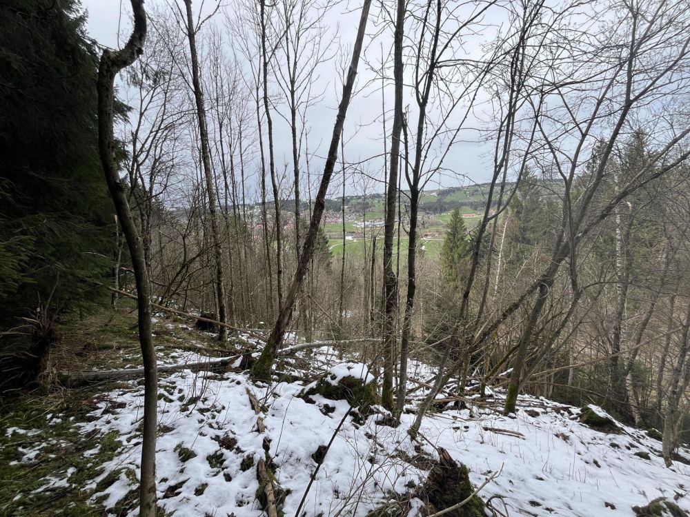 HOLZ MACHT 2x WARM!!!
Waldgrundstück in Wertach
