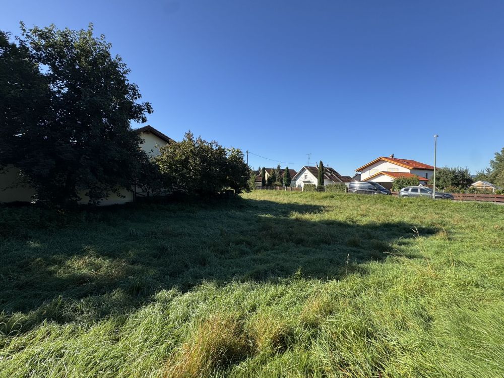 Realisieren Sie Ihren Wohn(t)raum