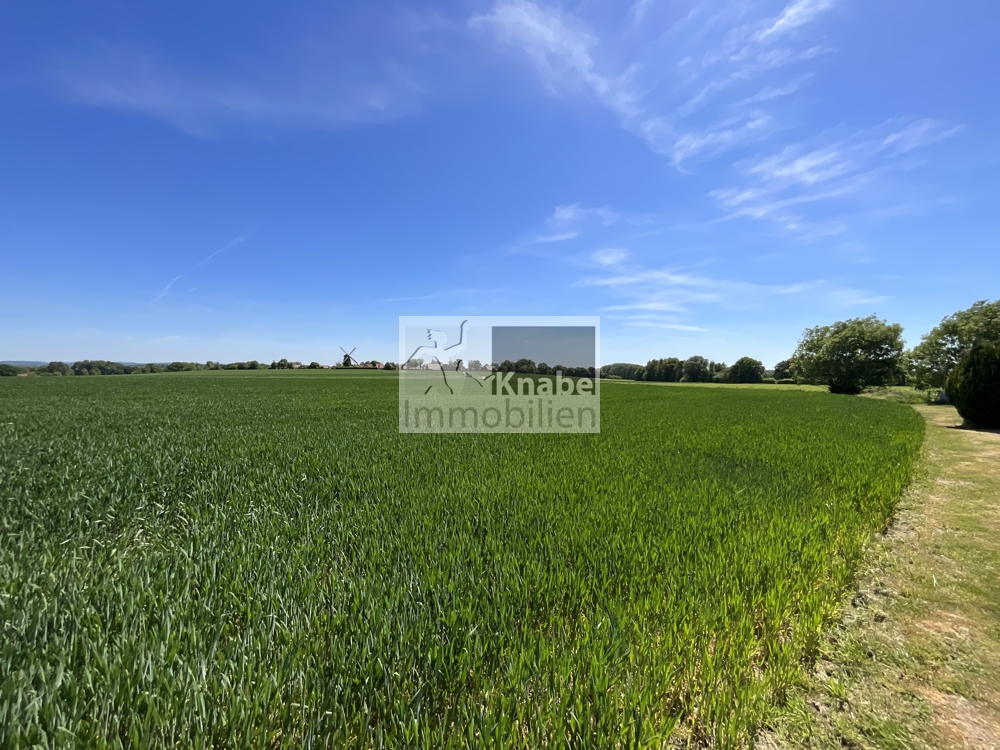 Lust auf Landleben im Fachwerkhaus? Hier ist die Gelegenheit!