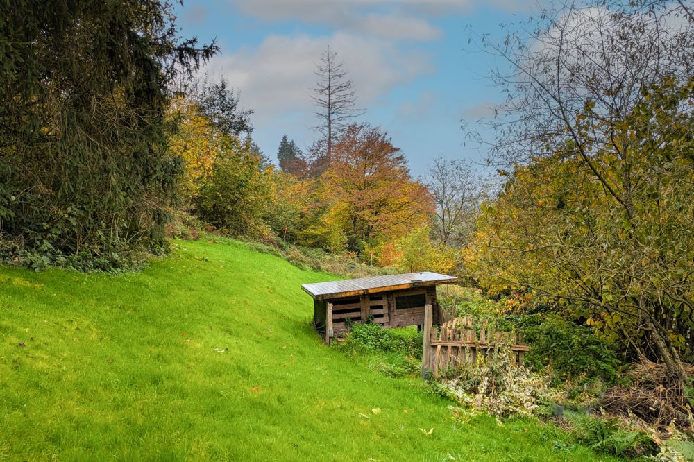 Selbermacher aufgepasst: Haus mit großem, naturnahen Grundstück und vielen Nutzungs-Möglichkeiten!