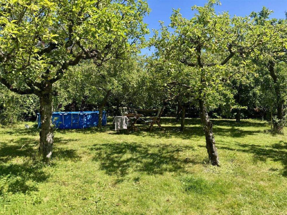 ### RESERVIERT ### Flexibel Wohnen - Großes Haus mit vielen Möglichkeiten