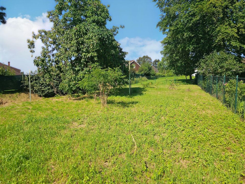 Wohnen und vermieten: Energetisch saniertes Haus mit 2 separaten Wohneinheiten