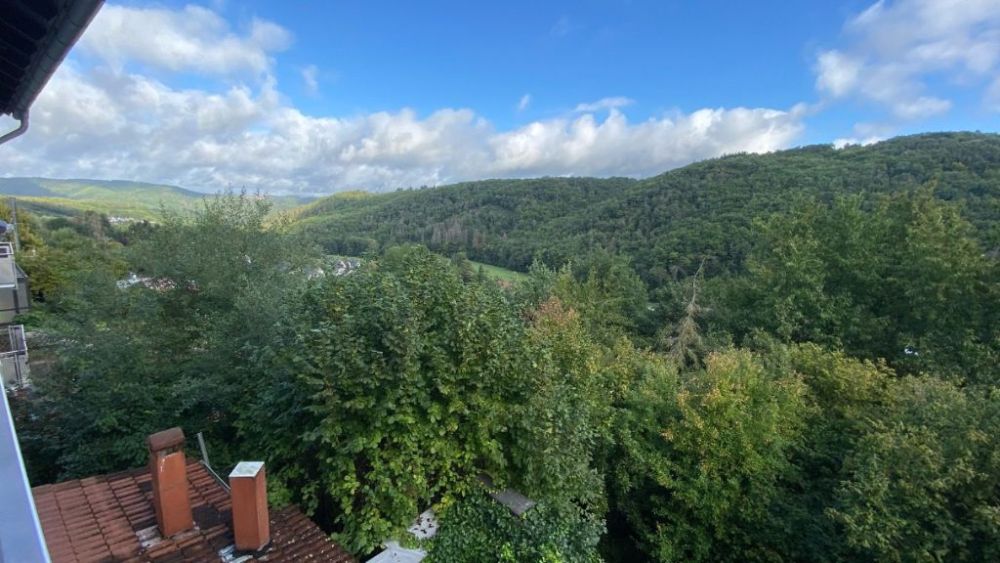 Einfamilienhaus mit Einliegerwohnung in ruhiger Ortslage