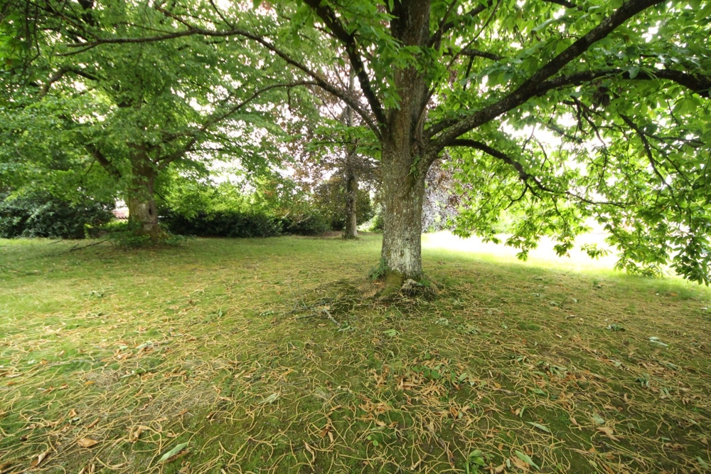 Baugrundstück ohne Bebauungspflicht... (3)