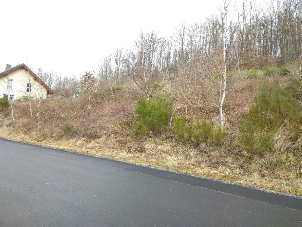 Rechte Straßenseite