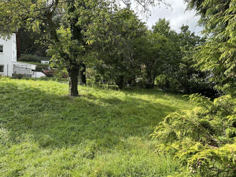 Super gelegenes Baugrundstück (3)