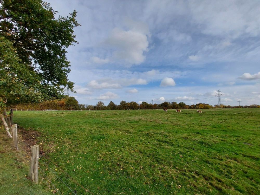 Interessante landwirtschaftliche Grünfläche mit geringem Waldanteil als bodenständige Kapitalanlage