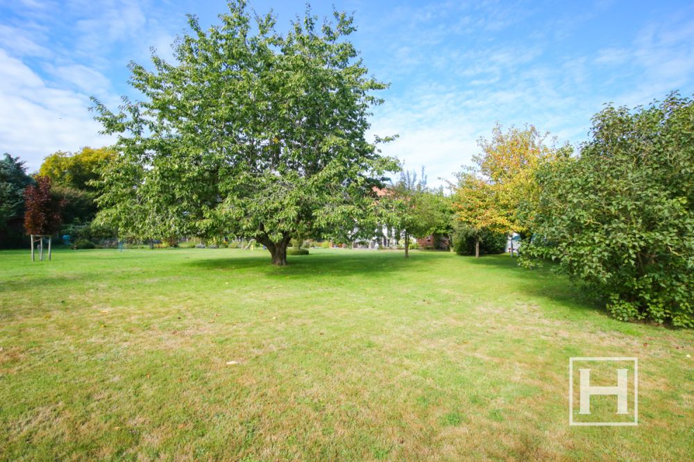 Ihr Platz zum Träumen