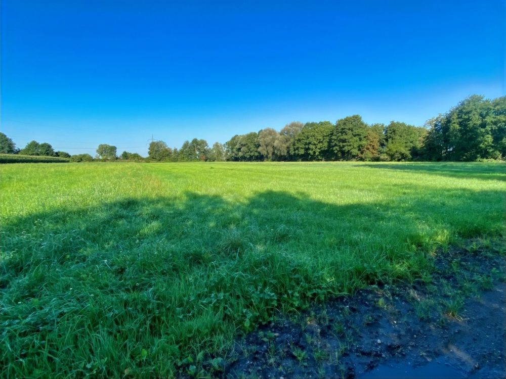 Grünland - Nähe Mayerbacherstraße in der Ismaninger Flur