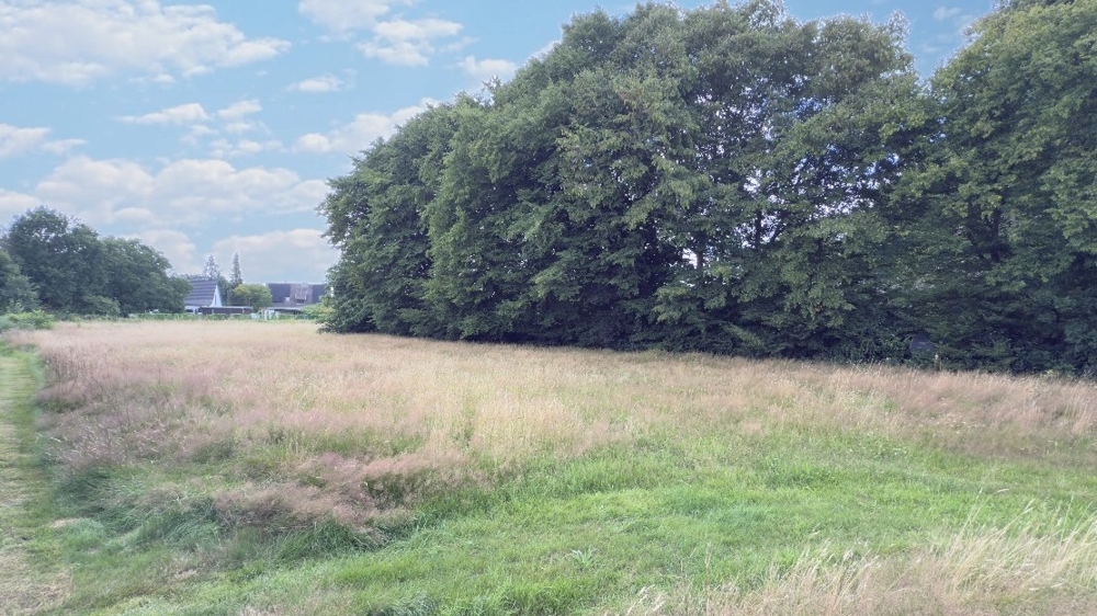 Attraktives Baugrundstück nach § 34 BauGB in idyllischer Lage in Alfstedt-Geestland