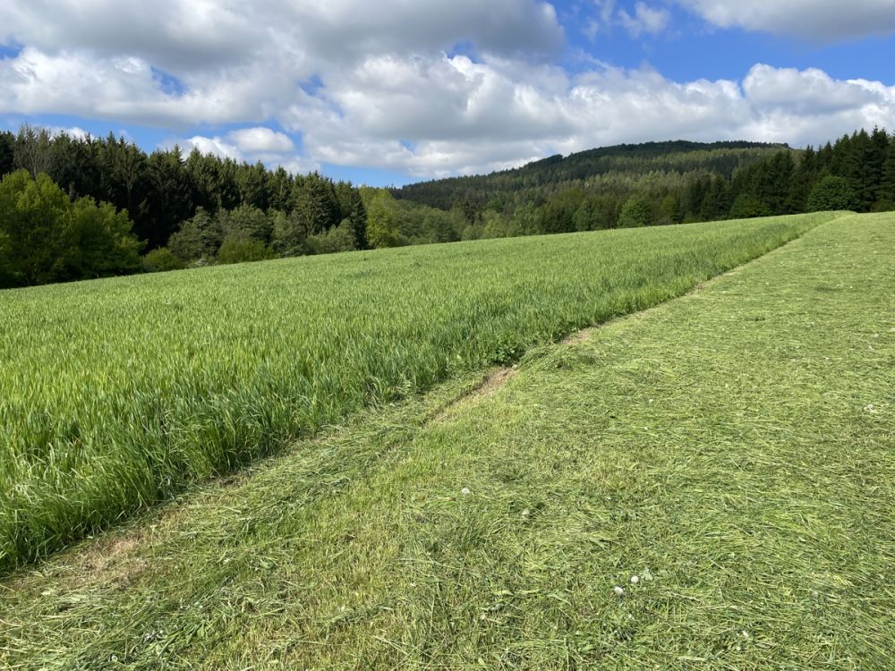 Landwirtschaftliche Fläche 
im Bereich Pleystein zu verkaufen!