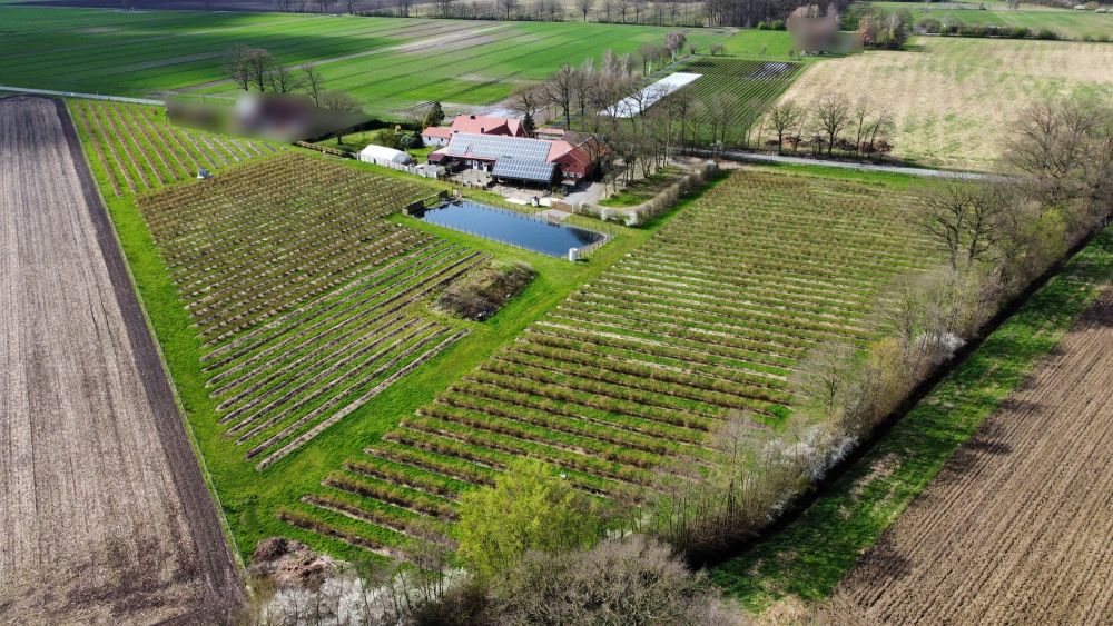 Mit der Natur im Einklang - Landwirtschaftliches Anwesen mit Potenzial! (3)