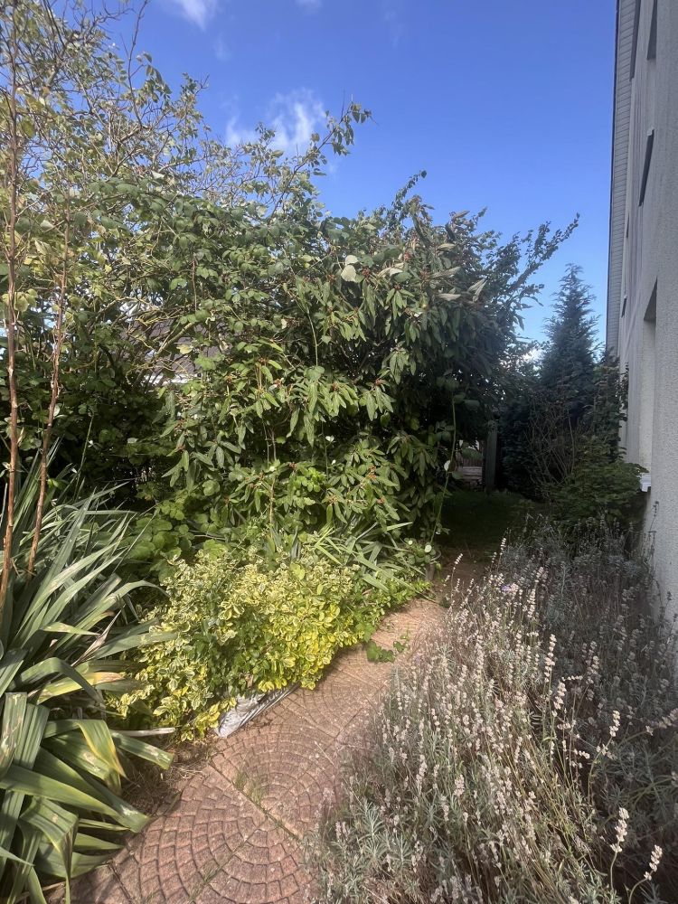 Eigentumswohnung als Doppelhaushälfte – Kühlungsborn Ost