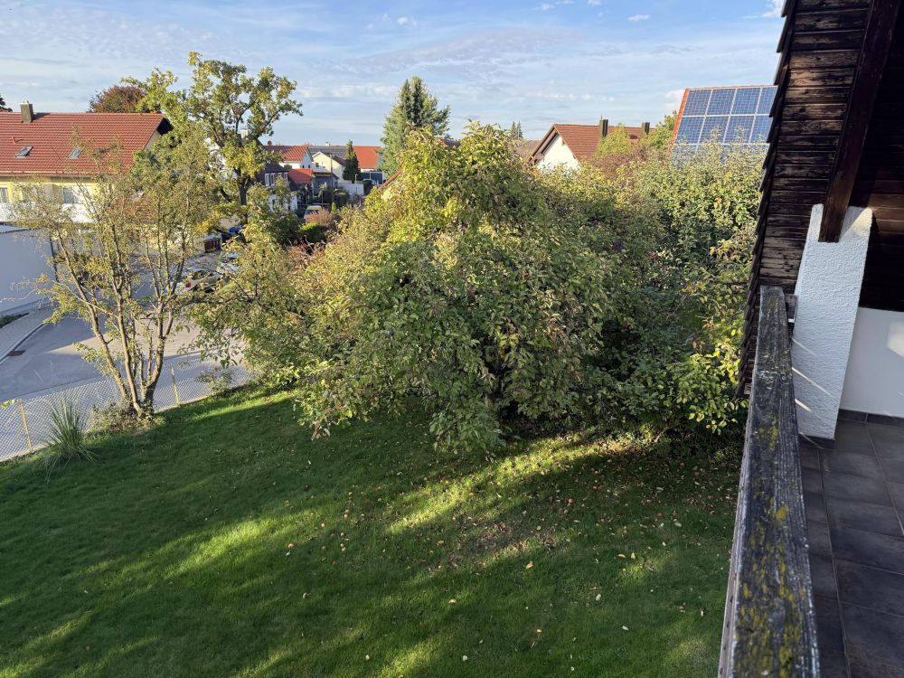 Blick in den Garten