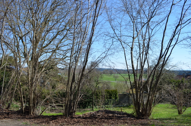 zwei attraktive Grundstücke mit genehmigter Bauvoranfrage
