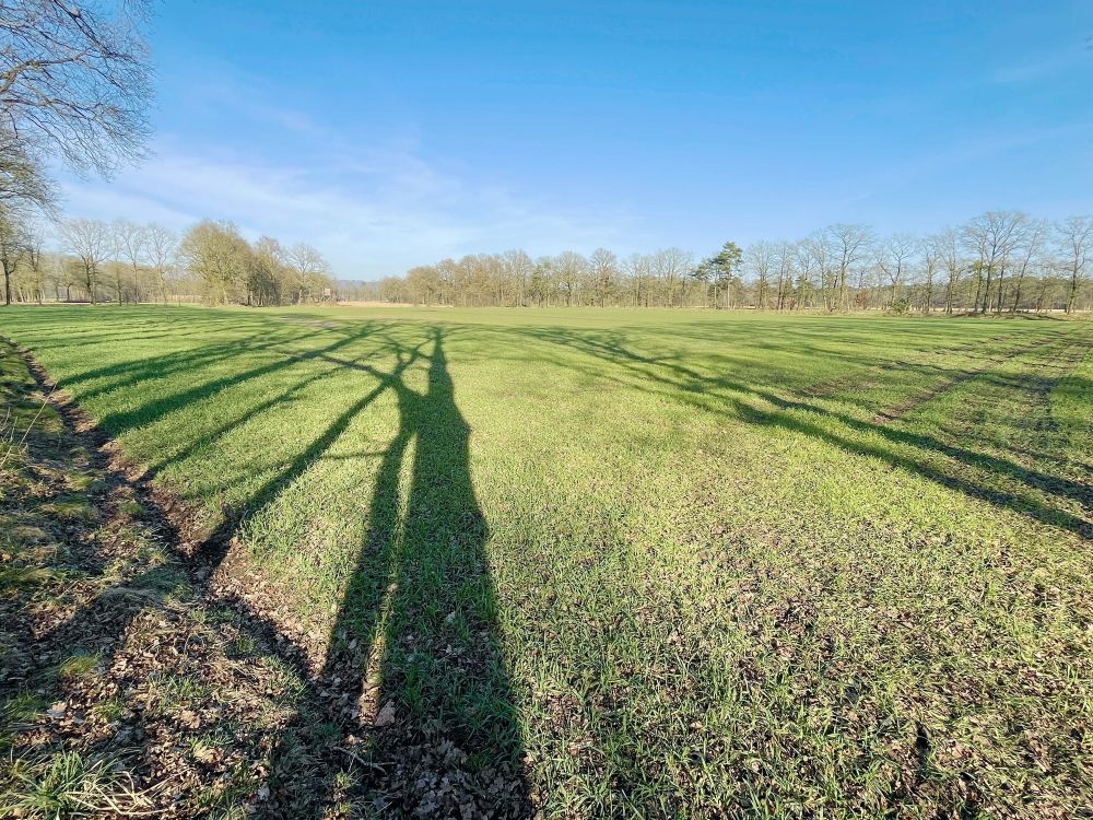 Vielseitige Landwirtschaftsfläche mit 5,29 ha in Brochterbeck! (3)