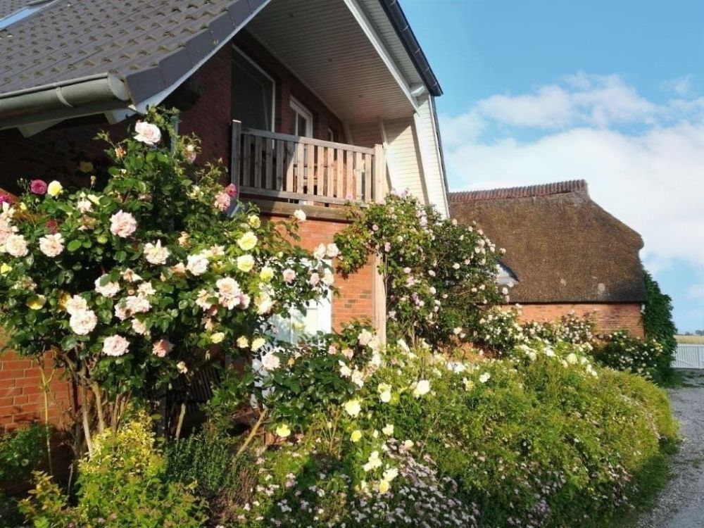Zauberhaftes, naturnahes Wohnen und / oder Arbeiten unter Reet an der Ostsee