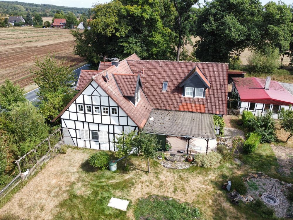 Dornröschen will geweckt werden! (3)