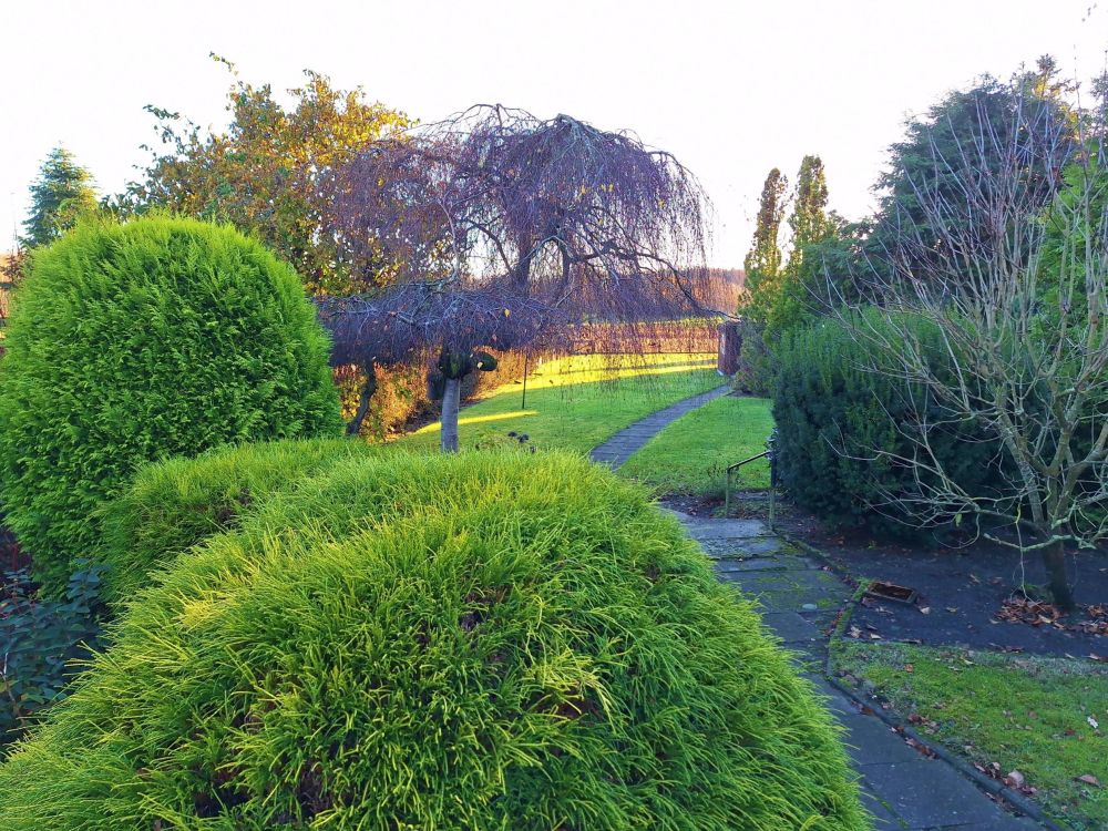 langgestreckter Garten mit Blick ins Freie