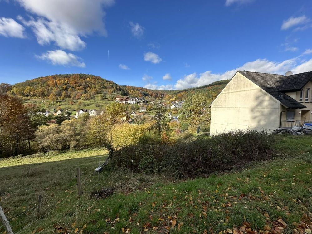 Seltene Gelegenheit: Großes Baugrundstück am Naturschutzgebiet in Heimbuchenthal