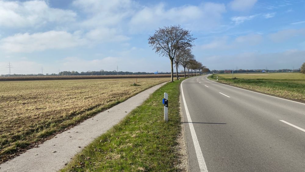 Grünland bei Eching (Freising)