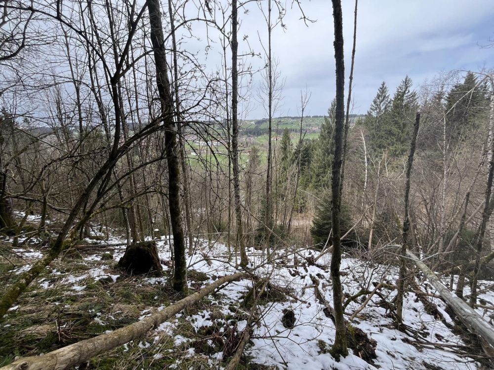HOLZ MACHT 2x WARM!!!
Waldgrundstück in Wertach