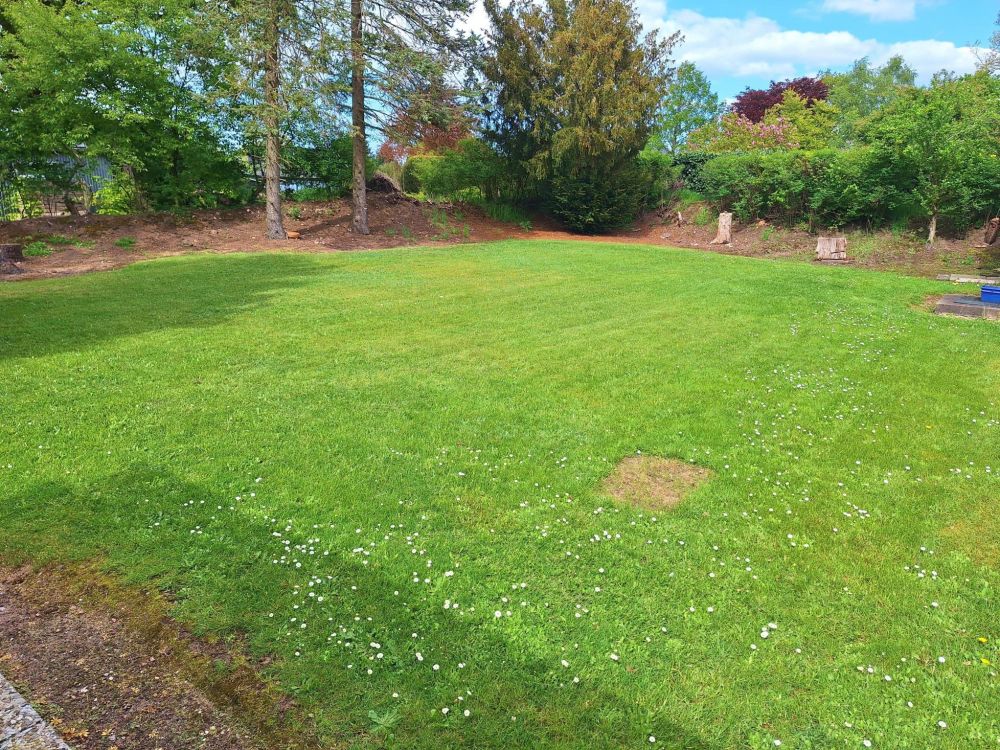 großer und pflegeleichter Garten
