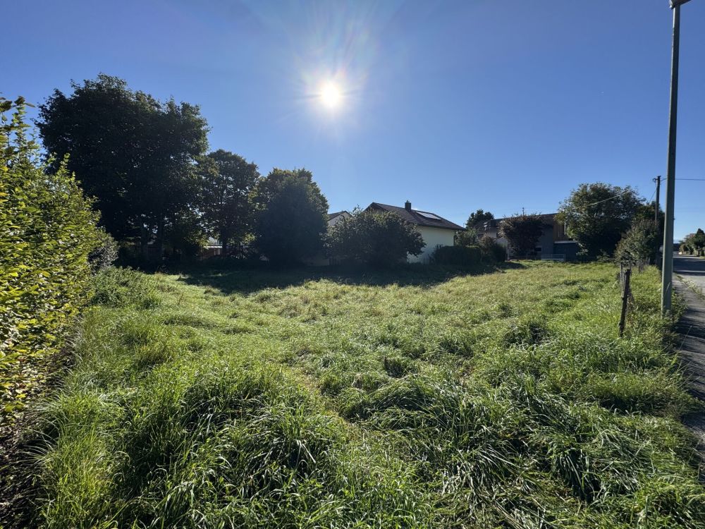 Realisieren Sie Ihren Wohn(t)raum