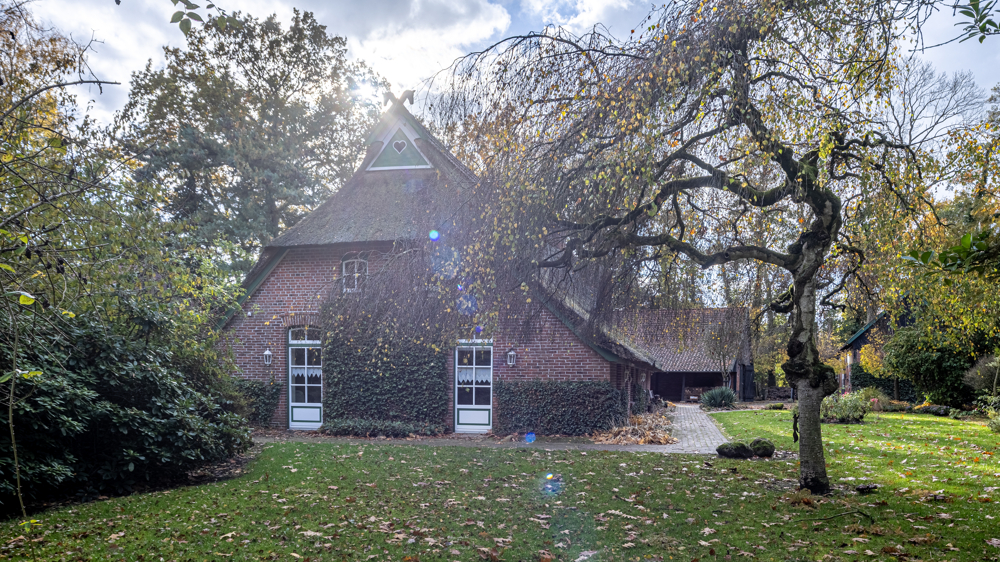 Exklusives und gepflegtes Reetdachanwesen mit Pferdestall in ländlicher Lage von Bad Zwischenahn